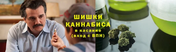 бошки Козельск