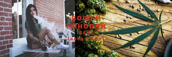 бошки Козельск