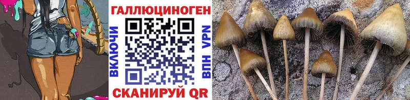 Псилоцибиновые грибы мицелий  Купить  Павлово 