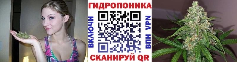 Купить закладки  Павлово  Марихуана гибрид 